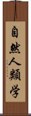 自然人類学 Scroll