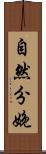 自然分娩 Scroll