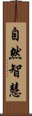 自然智慧 Scroll