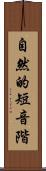 自然的短音階 Scroll