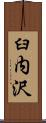 臼内沢 Scroll