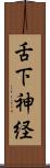 舌下神経 Scroll