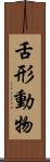 舌形動物 Scroll