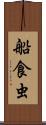船食虫 Scroll