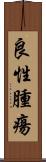 良性腫瘍 Scroll