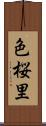 色桜里 Scroll