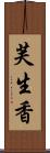 芙生香 Scroll