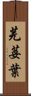芫荽葉 Scroll