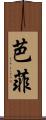 芭菲 Scroll