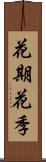 花期 Scroll