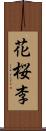 花桜李 Scroll