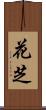 花芝 Scroll