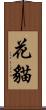 花貓 Scroll