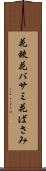 花鋏 Scroll