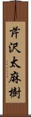 芹沢太麻樹 Scroll
