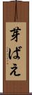 芽ばえ Scroll
