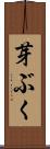 芽ぶく Scroll