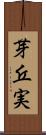 芽丘実 Scroll