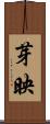 芽映 Scroll