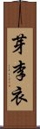 芽李衣 Scroll