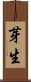 芽生 Scroll