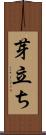 芽立ち Scroll