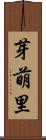 芽萌里 Scroll
