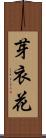 芽衣花 Scroll