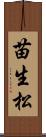 苗生松 Scroll