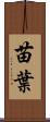 苗葉 Scroll