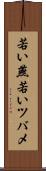 若い燕 Scroll