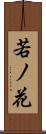 若ノ花 Scroll