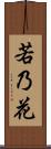 若乃花 Scroll
