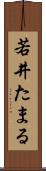 若井たまる Scroll