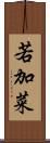 若加菜 Scroll
