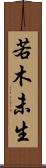 若木未生 Scroll