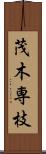 茂木専枝 Scroll