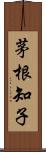 茅根知子 Scroll