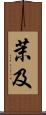 茉及 Scroll