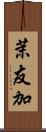 茉友加 Scroll