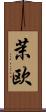 茉欧 Scroll