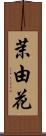 茉由花 Scroll