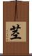 茎 Scroll