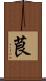 茛 Scroll