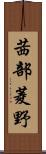 茜部菱野 Scroll