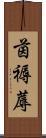 茵 Scroll