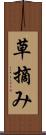 草摘み Scroll