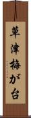 草津梅が台 Scroll