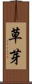 草芽 Scroll