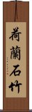 荷蘭石竹 Scroll